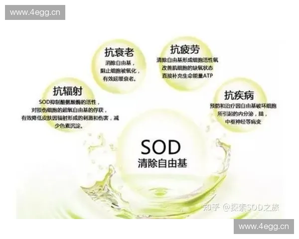 运动饮料的选择与健康影响分析探索适合不同人群的营养补充方案