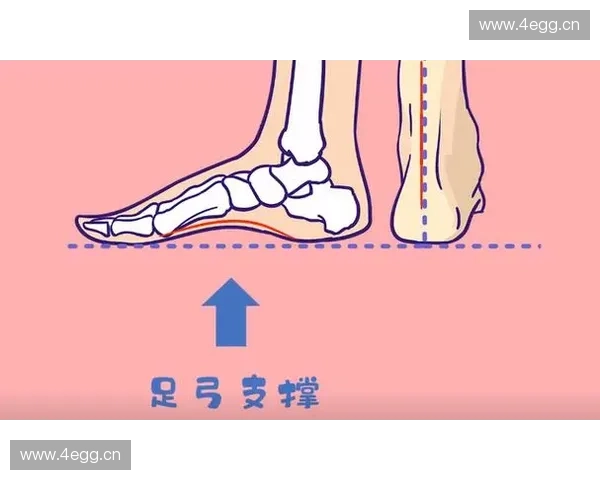 科学体态矫正方法全解析帮助你摆脱身体不适恢复自然健康姿态